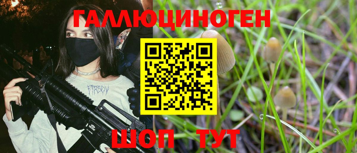 Знаменск  Псилоцибиновые грибы GOLDEN TEACHER  даркнет сайт  Вход с VPN 